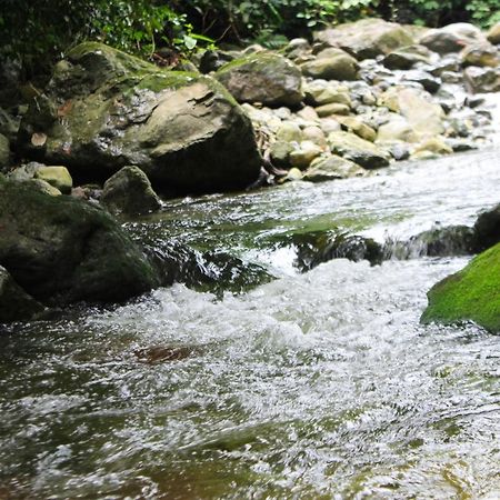 Corinto Pearl Eco Resort El Pino المظهر الخارجي الصورة