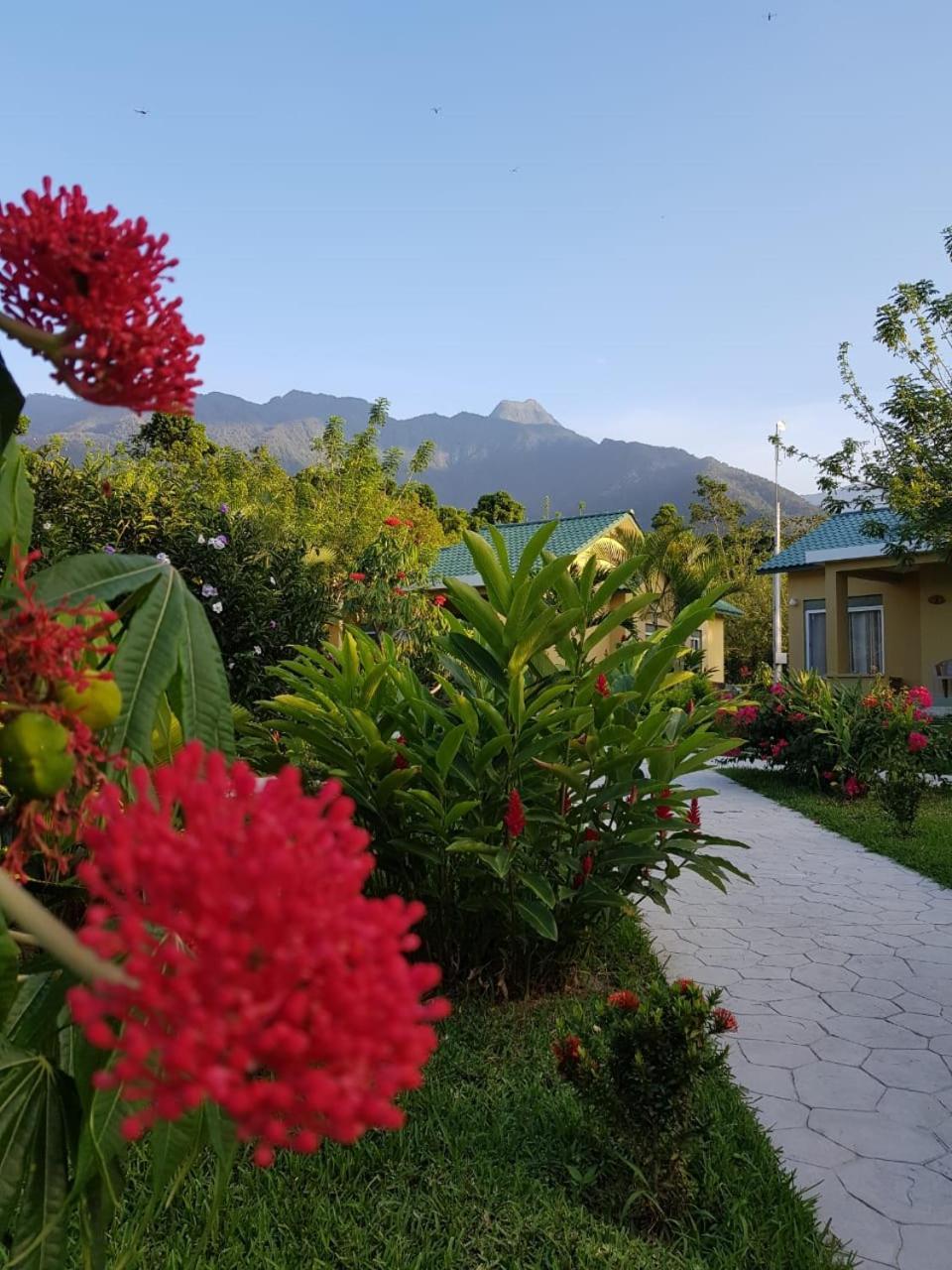 Corinto Pearl Eco Resort El Pino المظهر الخارجي الصورة